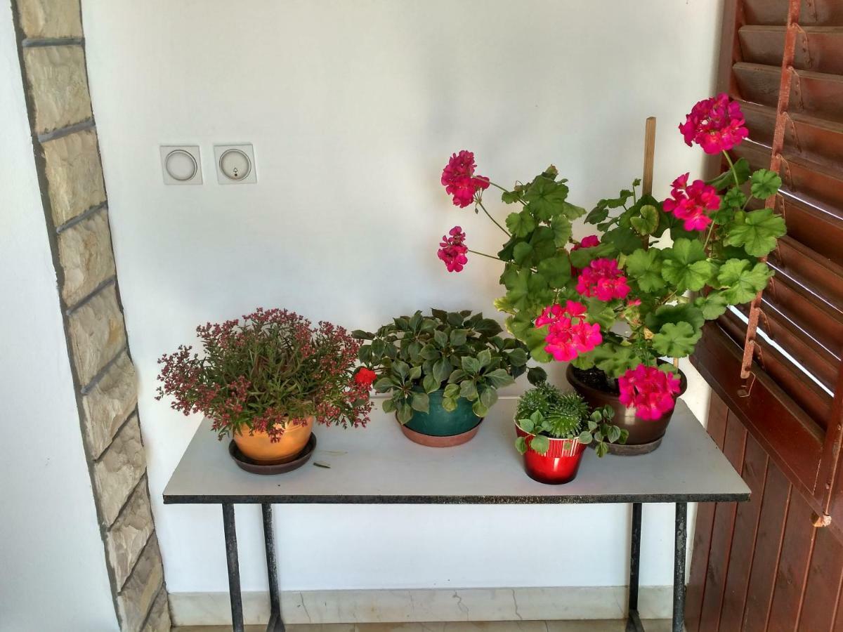 Apartmani Tonica Sukosan Ngoại thất bức ảnh